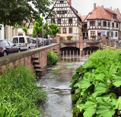 Zu Hause in Weingarten